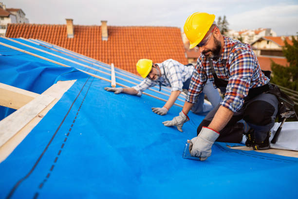 Fast & Reliable Emergency Roof Repairs in Holly Hills, CO